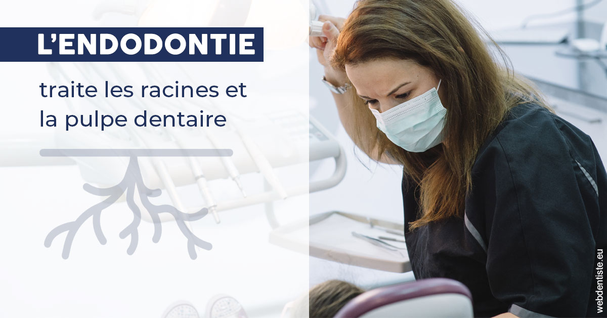https://www.centre-dentaire-archereau-paris19.fr/L'endodontie 1