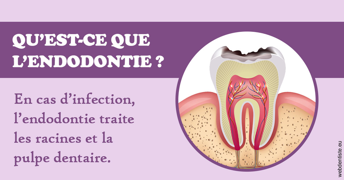 https://www.centre-dentaire-archereau-paris19.fr/2024 T1 - Endodontie 02