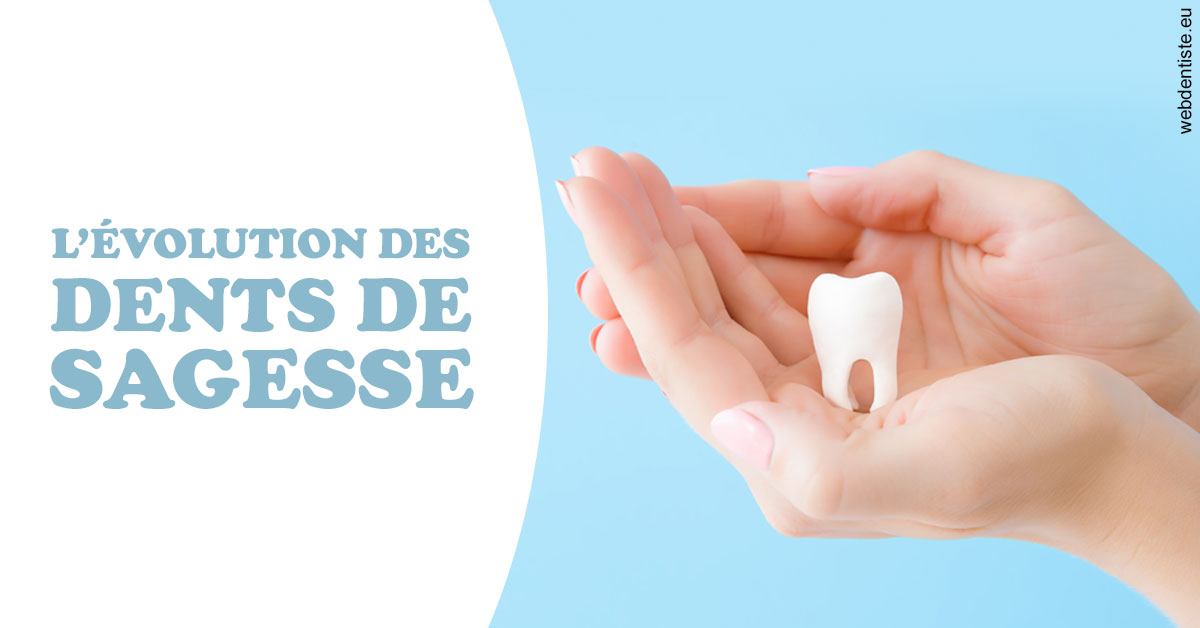 https://www.centre-dentaire-archereau-paris19.fr/Evolution dents de sagesse 1