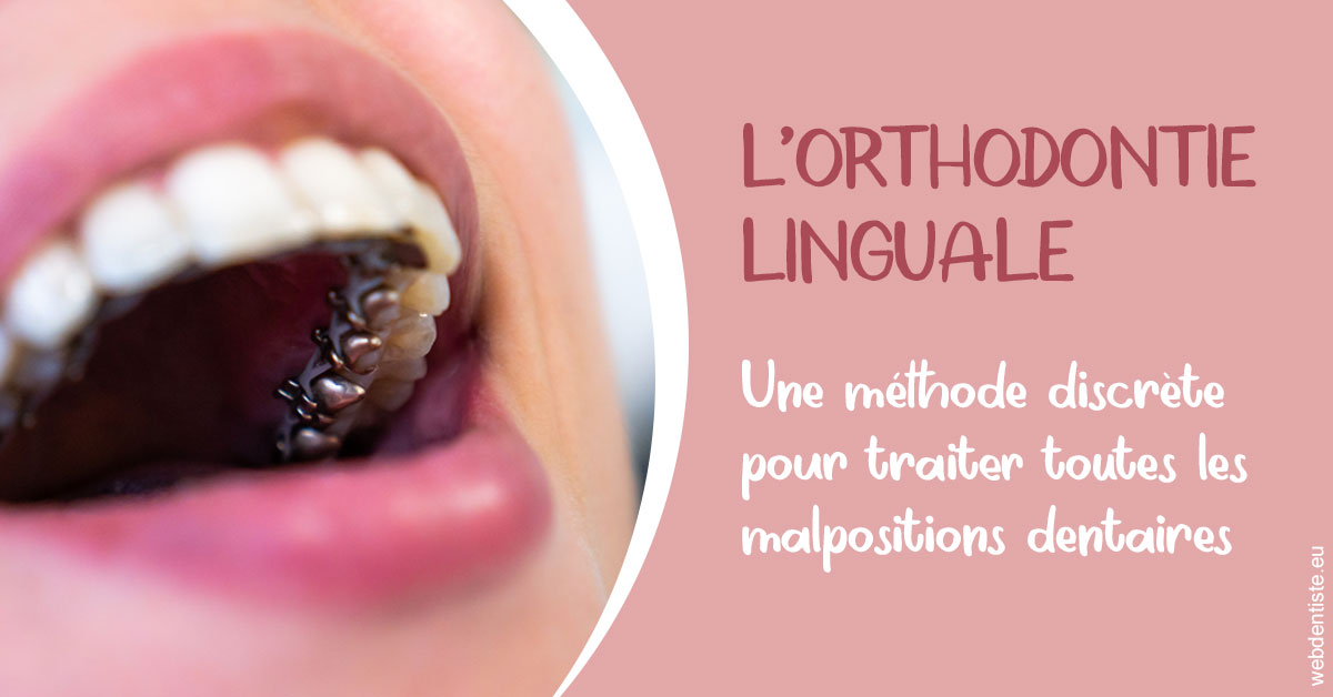 https://www.centre-dentaire-archereau-paris19.fr/L'orthodontie linguale 2