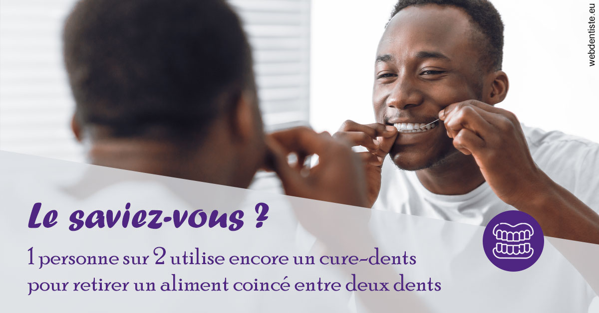 https://www.centre-dentaire-archereau-paris19.fr/Cure-dents 2