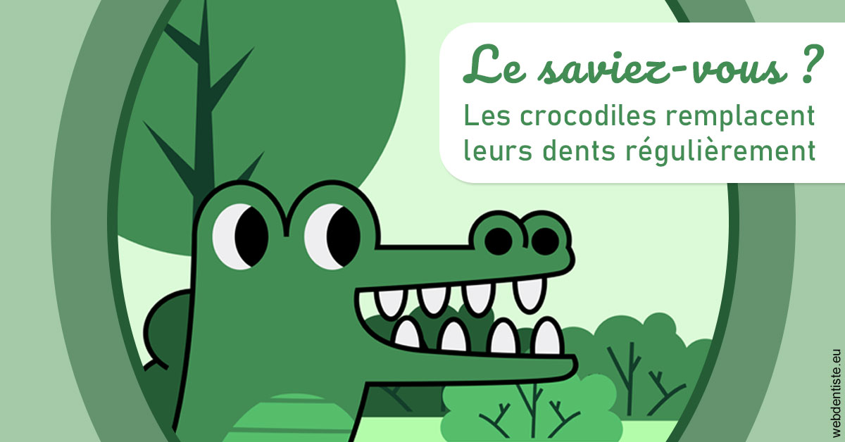 https://www.centre-dentaire-archereau-paris19.fr/Crocodiles 2