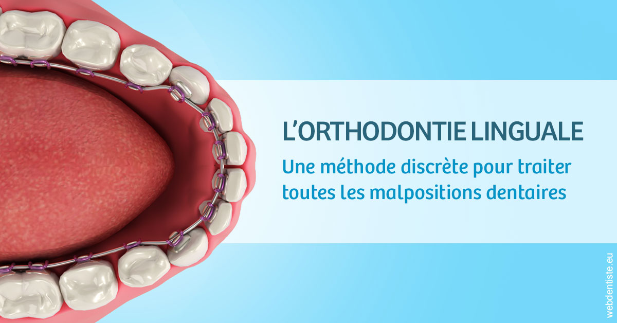 https://www.centre-dentaire-archereau-paris19.fr/L'orthodontie linguale 1
