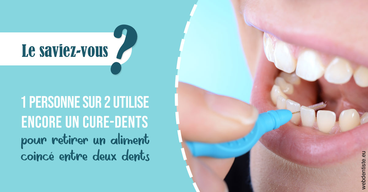 https://www.centre-dentaire-archereau-paris19.fr/Cure-dents 1