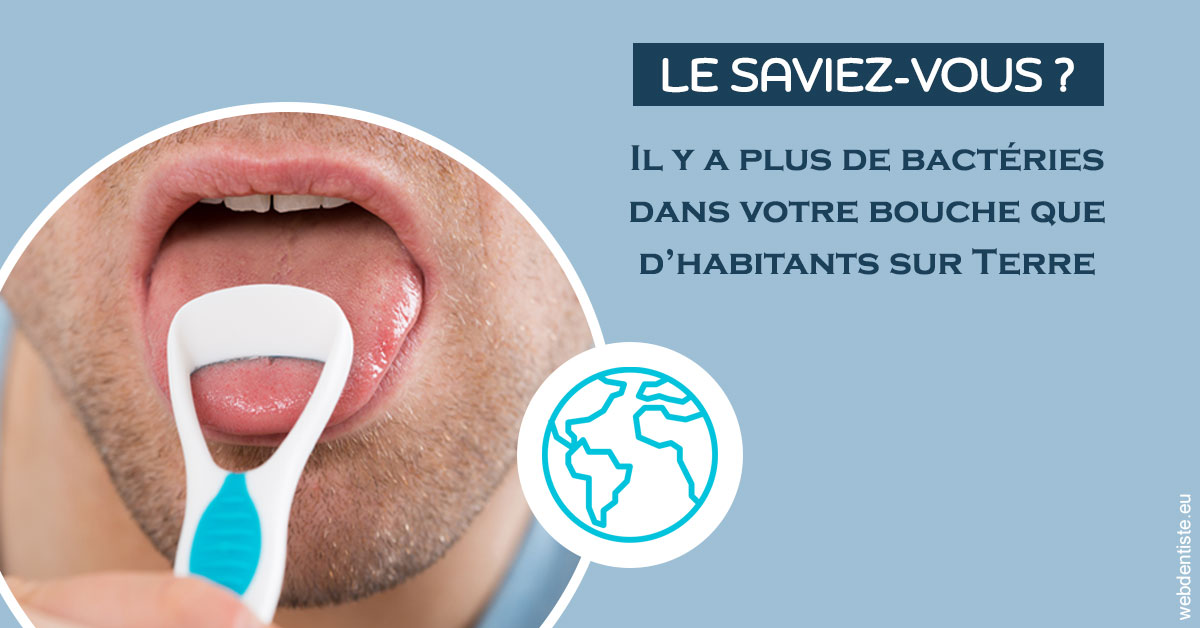 https://www.centre-dentaire-archereau-paris19.fr/Bactéries dans votre bouche 2