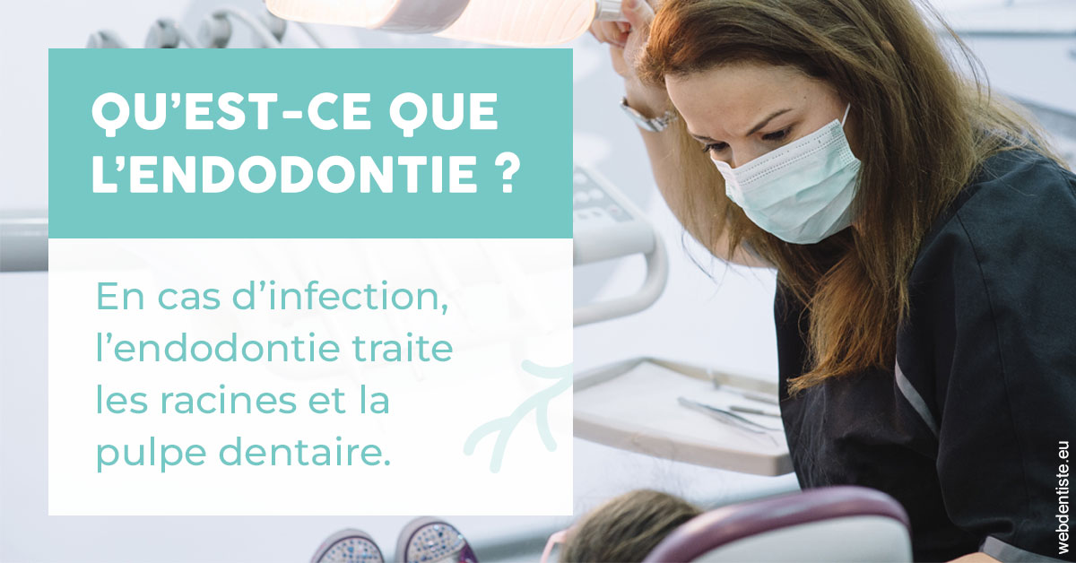 https://www.centre-dentaire-archereau-paris19.fr/2024 T1 - Endodontie 01