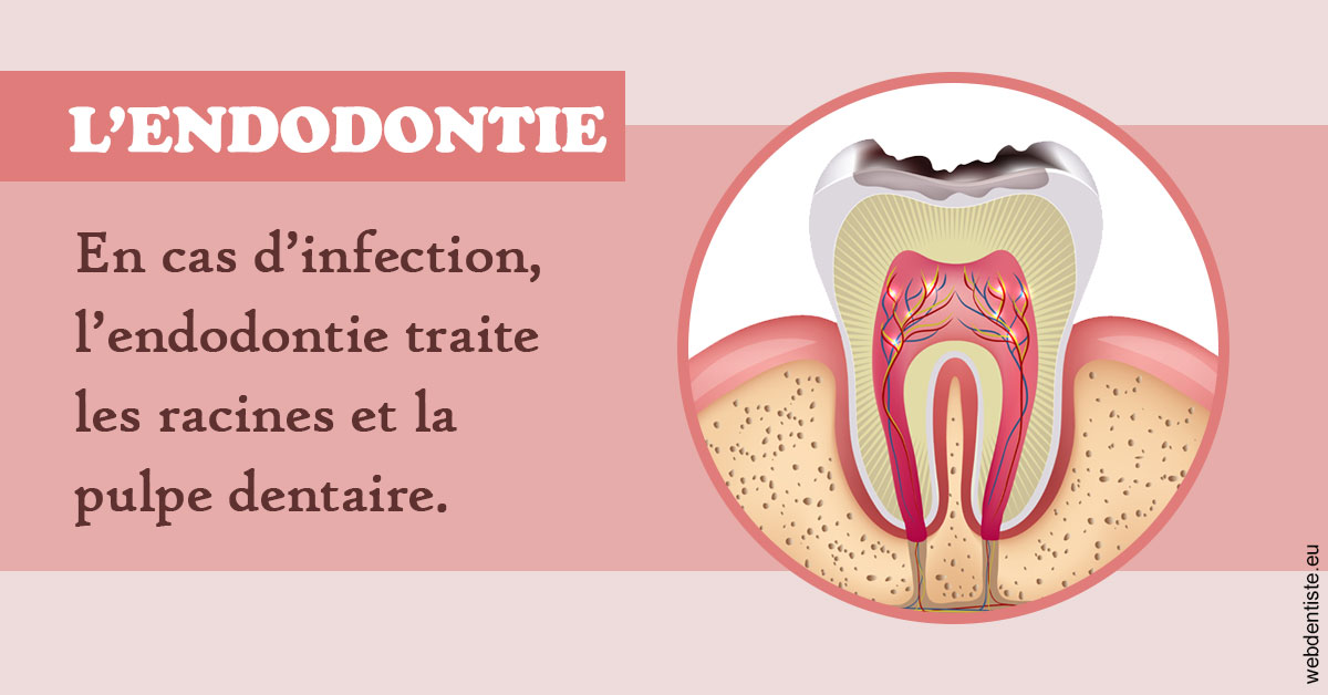 https://www.centre-dentaire-archereau-paris19.fr/L'endodontie 2